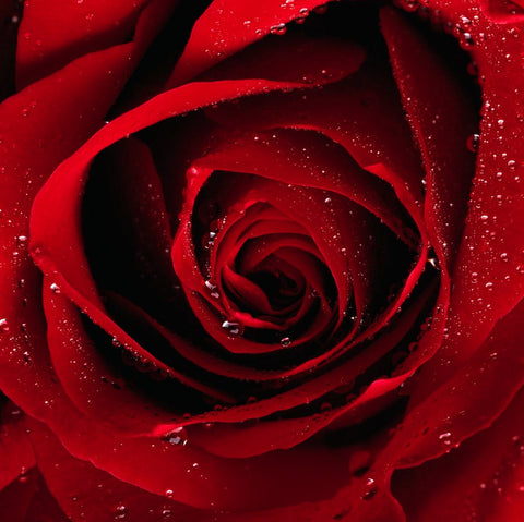 Aromatherapy - Chakra Oils - Heart Chakra